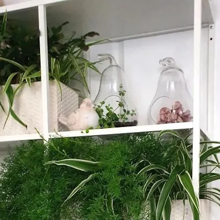 Διαμέρισμα Apartament.