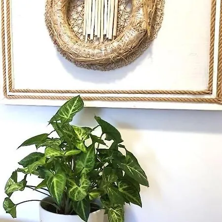 Διαμέρισμα Apartament. *