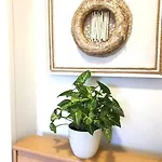 Apartament.