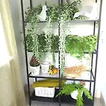 Lejlighed Apartament. Poznań