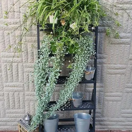 Apartament. Poznań