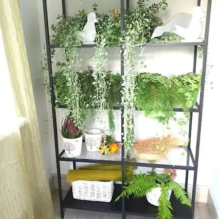 Appartement Apartament. Poznań