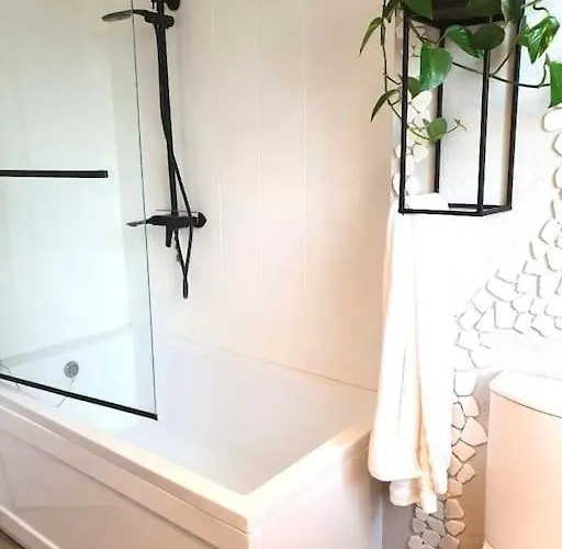 Apartament. بوزنان