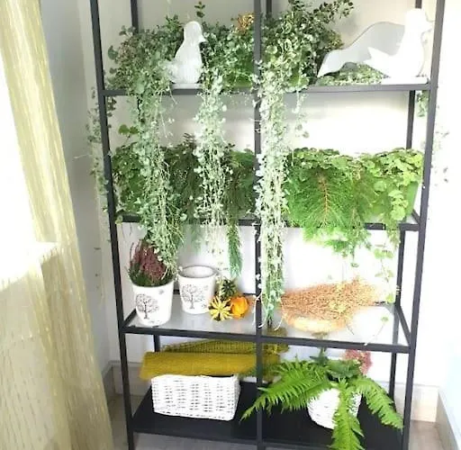 شقة Apartament. بوزنان